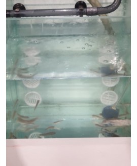 AKVARIJ ZA RUKE  AKVARIJ ZA RUKE